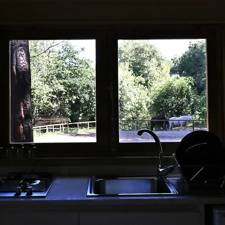 Quinta Do Castro Wood House *