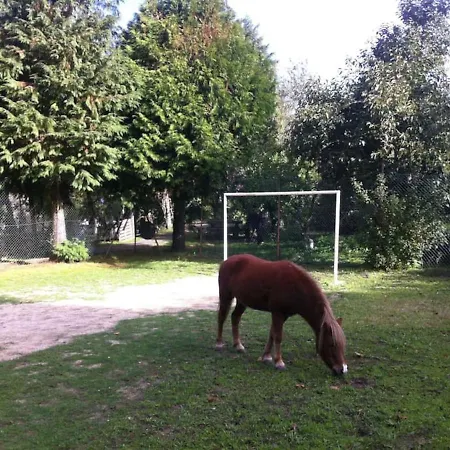 Quinta Do Castro Wood House شاليه
