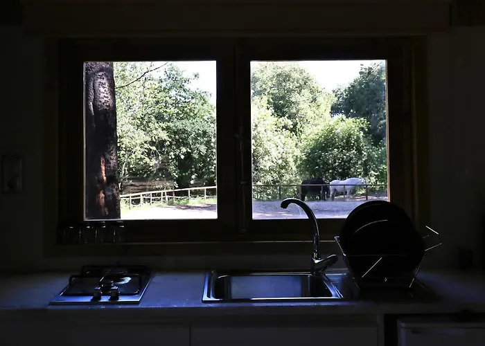 Quinta Do Castro Wood House *