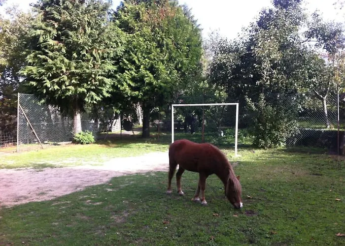 Quinta Do Castro Wood House 샬레